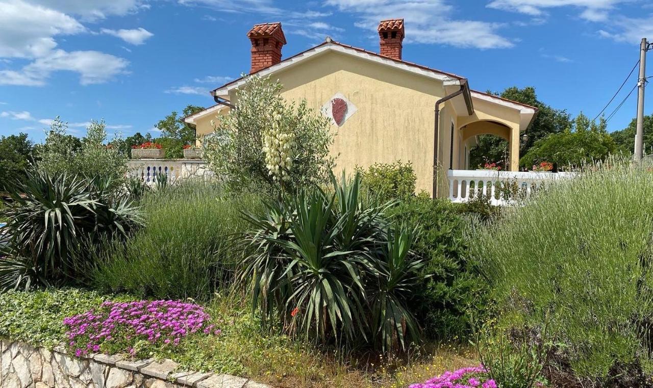 Villa Yucca Istra Labin  Exterior foto